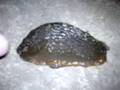 Dancing Slug!
