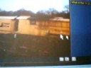 What is this ?? [Analysis]