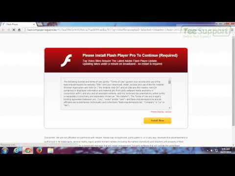 how to eliminate phishing