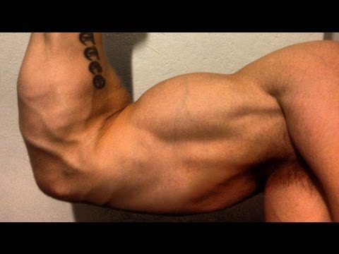 how to define muscle tone