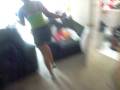 videos de shir and keLLz