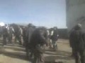 CHICAS MAÑANERAS EN CUTARAPI-DESAGUADERO-PUNO