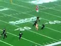 Canadian Football Streakers Canadian Football Streakers