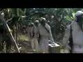 Contamination/Hell Of The Living Dead OST.Track 1.Connextion