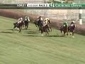 CHURCHILL DOWNS, 2009-11-22, Race 2