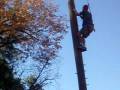 videos de Mr Bland Pole Climb