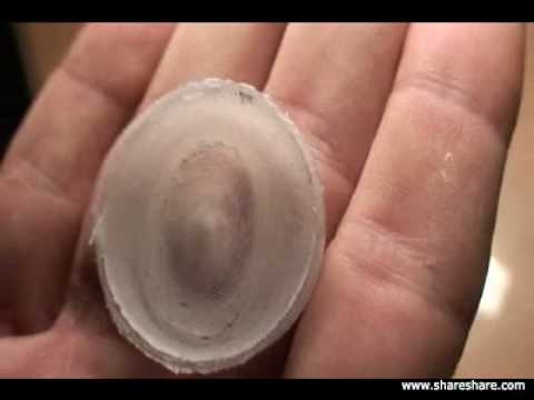 how to take fingerprints