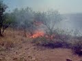 bomberos nogales sonora