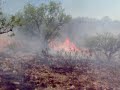 bomberos nogales sonora