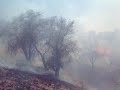 bomberos nogales sonora
