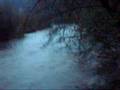 Puyallup River