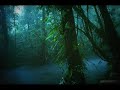 Nature Heavy Thunder Rainstorm Sounds (No Music)