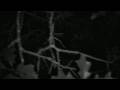 Don't Go Into the Woods Trailer - Final