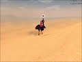 mabinogi G8S4 New Pet:Black Cotton Ostrich mabinogi G8S4 New Pet:Black Cotton Ostrich
