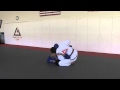 JJM Issue 13: Ronis Gracie - Armbar from Side Control