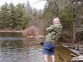 Brown bear trout