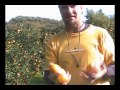 five-orange-challenge.html