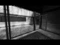 devour! the movie of the carolina core of the cgs