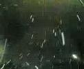 ???? ????? ?? ????? ?? ?????? ???? ????? ??? ???? 08-1-30 ???? ????? ?? ????? ?? ?????? ???? ????? ??? ???? 08-1-30