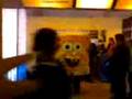 videos de bob esponja soplanucas