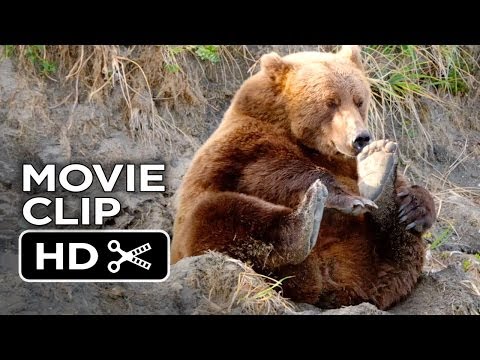 Bears Movie CLIP - Stuffed Bears (2014) - Disneynature Documentary HD