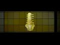 the colourfield - pushing up the daisies

original video source stated at the end of clip. all copyrights are theirs