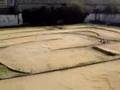 LIPOS 6A, Losi xxx-cr, LRP, mamba max-Hacker (VIDEO)