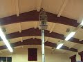 FSHA Egg Drop 4