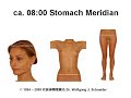 qi meridiane    einführung von dr  wolfgang j  schneider 2/2
