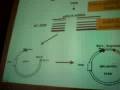 RT-PCR 1