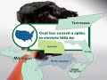 Coal Is Not The Answer Coal Is Not The Answer