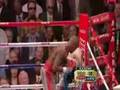 Mayweather vs Hatton highlights 