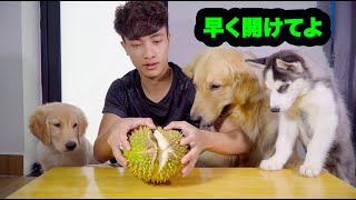 相談8627に関連する動画
