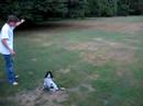 My dog