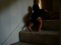 videos de Lacnlan climbing stairh