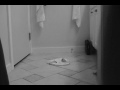 Jeremy Tang - A.M. Jeremy Tang - A.M.