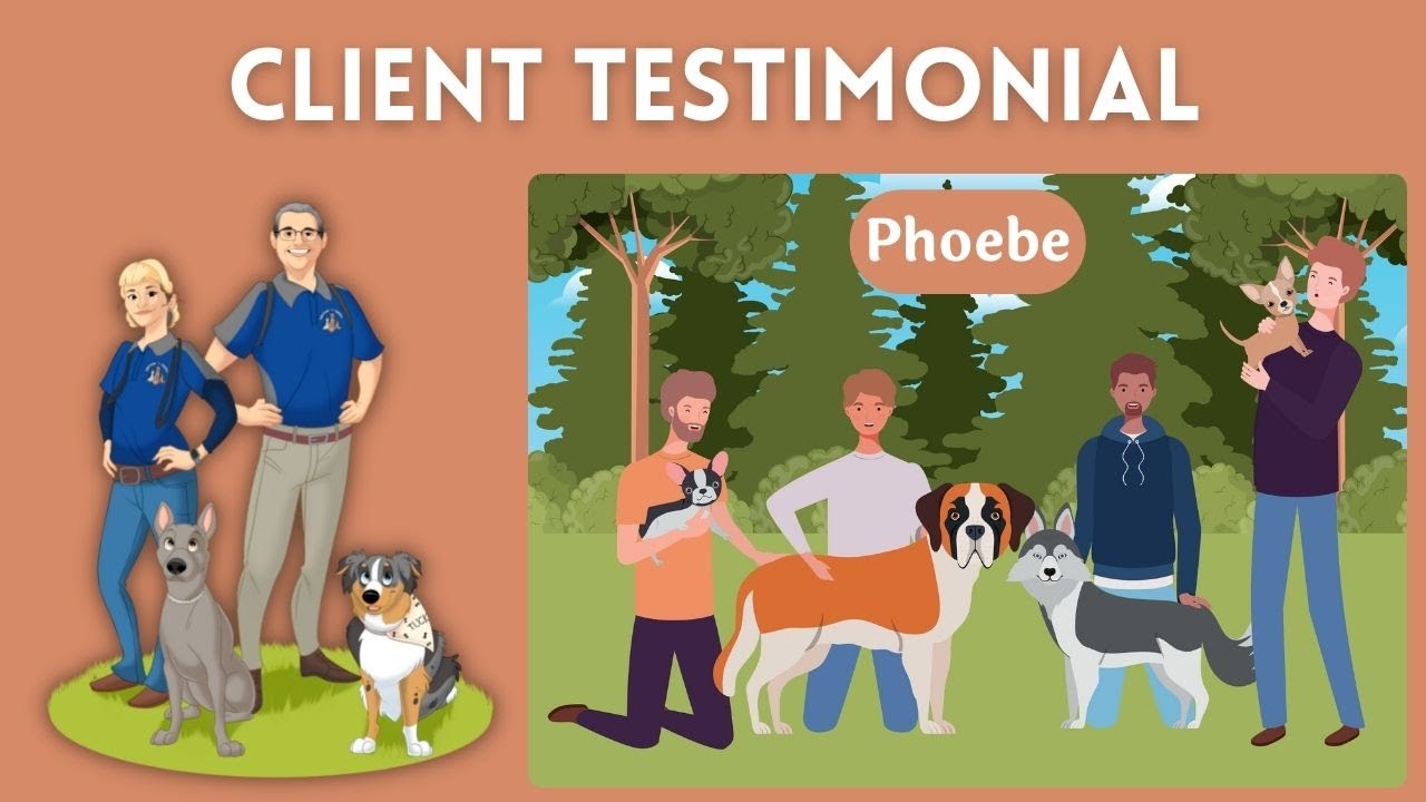 Dog Training Services in Akron - Our Client Honest Review - Dachshund “Phoebe”