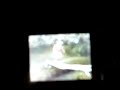 Video on iPod Nano 2GB with Podzilla (ipodlinux)