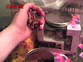 a video starring my cat