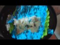 YouTube - Bunny Cake FAIL