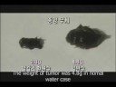 Electrolyzed and Reduced Alkali Water(Anti-cancer) by MBC in Korea