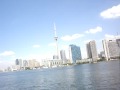 toronto toronto