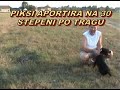 PIKSI APORTIRA NA 30 STEPENI PO VLECKI.divx
