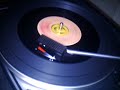 bee-gees-tragedy.html