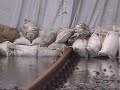 Sturmflut - aus dem Langeooger Hafen
