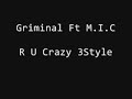 Griminal Ft M.I.C - R U Crazy 3Style.