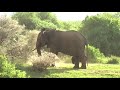 Tanzania - Lake Manyara