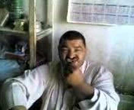 حصان ينيك ا مراءه