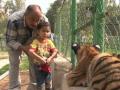 Sibirische Tiger-Babys erobern Herzen der Iraker