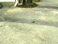 videos de micro t en action